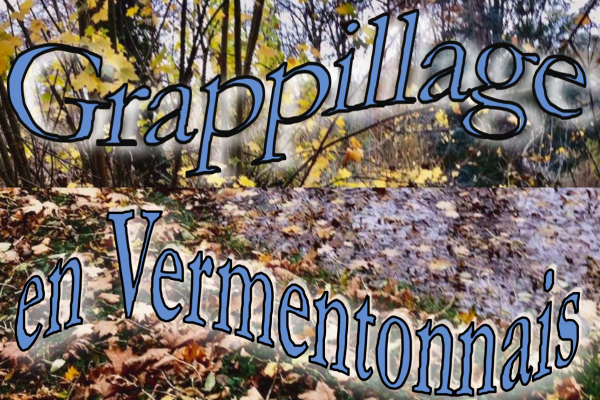 Couverture magasine grappillage