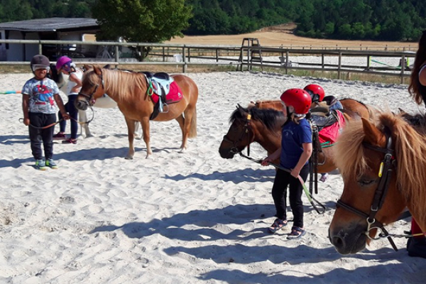 Image d'un camp équestre des Filous Futés
