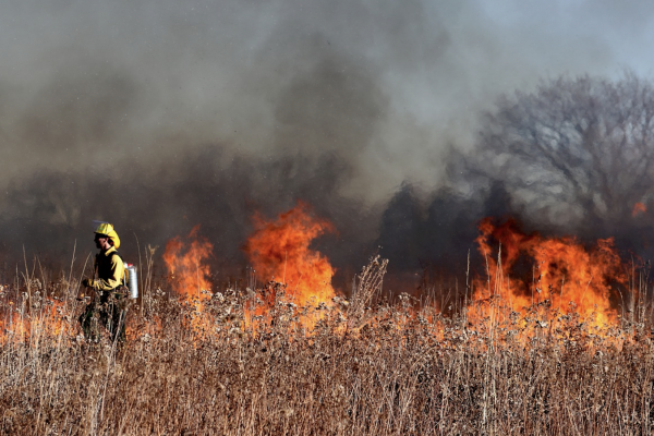Feu et brulage interdit