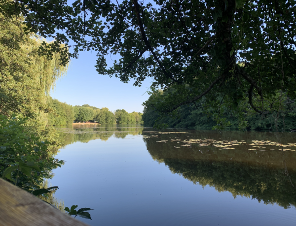 Bord de Cure